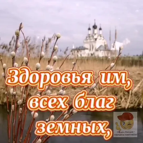 С Вербным Воскресеньем🕊️