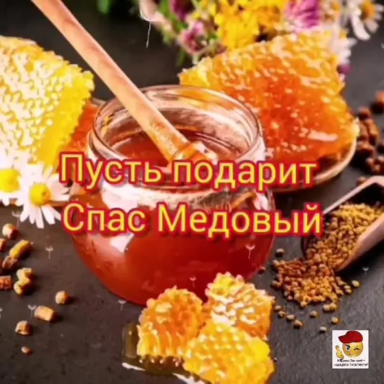 С Медовым Спасом🕊️