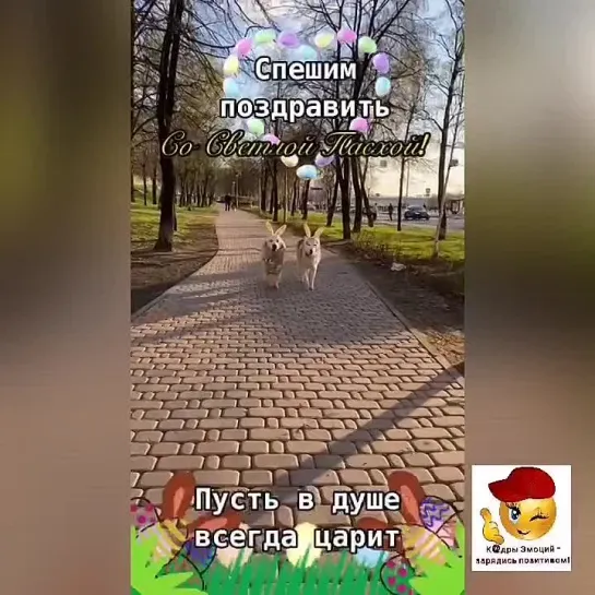 Светлой Пасхи🕊️