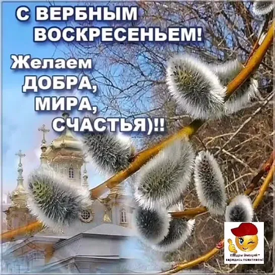 С вербным воскресеньем🕊️