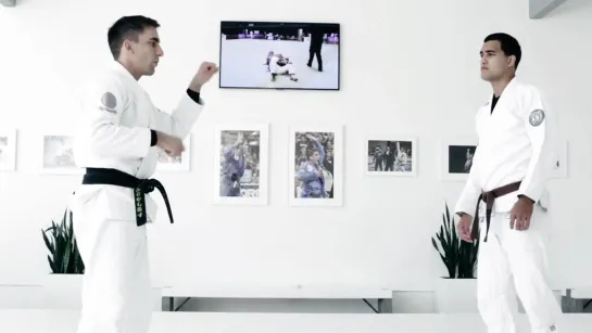 Gui Mendes - PART 2 advance SPIDER GUARD