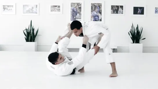 Gui Mendes - PART 4 advance SPIDER GUARD