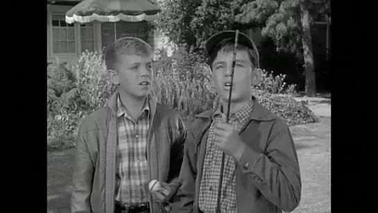 Предоставьте это Биверу / Leave It to Beaver (1957–1963) сезон 5 серия 14 / S05E14