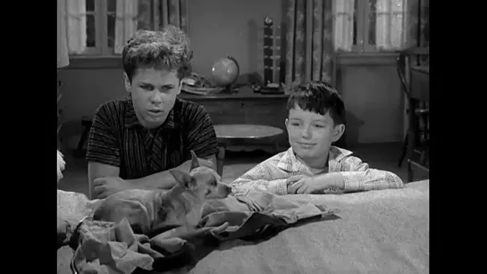 Предоставьте это Биверу / Leave It to Beaver (1957–1963) сезон 1 серия 23 / S01E23