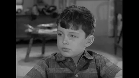 Предоставьте это Биверу / Leave It to Beaver (1957–1963) сезон 1 серия 20 / S01E20