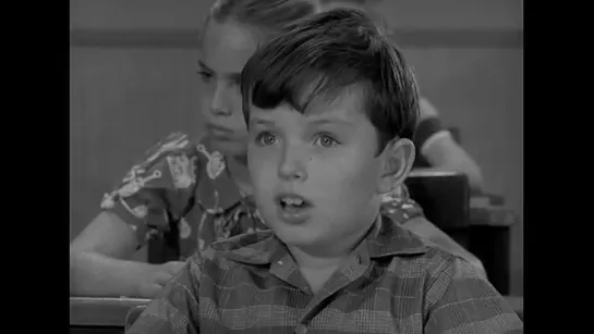 Предоставьте это Биверу / Leave It to Beaver (1957–1963) сезон 1 серия 8 / S01E08