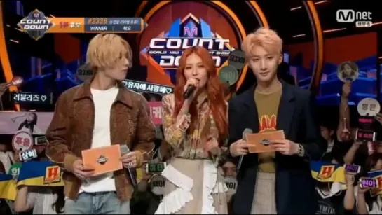 TRIPLE H mc cut -3