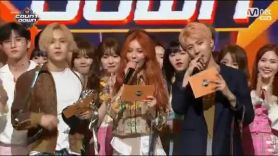 TRIPLE H mc cut -6