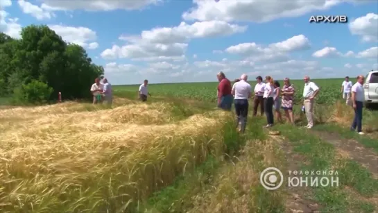 Жатва в хозяйствах ДНР набирает обороты (05.07.16)