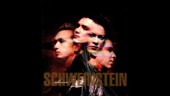 Schwein - Schweinstein ¦ 2001.05.09