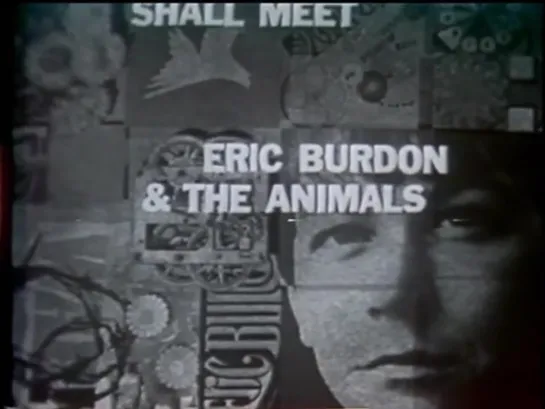 ERIC BURDON & ANIMALS - When I Was Young \ Sky Pilot