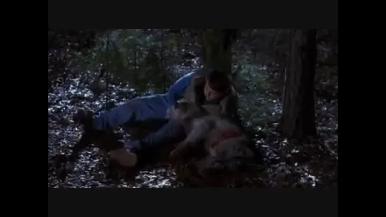 Pet Sematary 2-Fading away