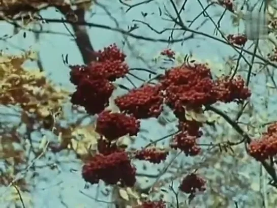 Чёрное и белое🎶