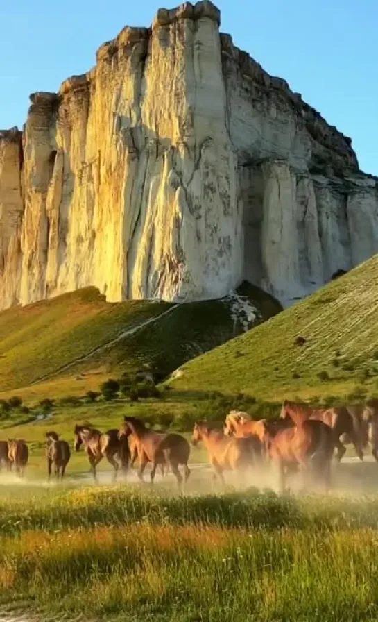 🐎 Перегон лошадей на Белой скале