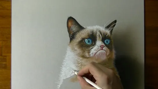 3D Drawing - Grumpy Cat Meme Portrait