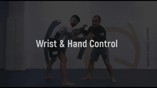 Marcelo Garcia - Wrist  Hand Control