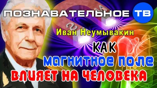 Как магнитное поле влияет на человека (Познавательное ТВ, Иван Неумывакин)