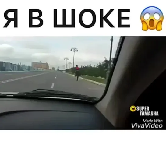 9 летняя девочка и лошадь