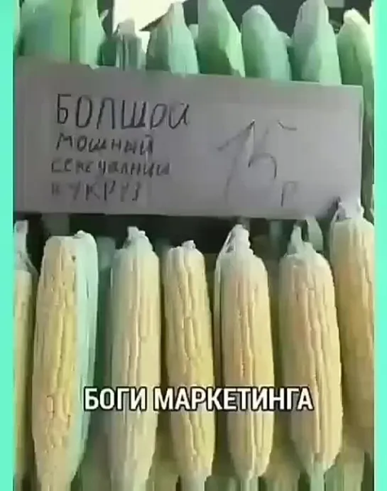 Свинья докукарекалась!