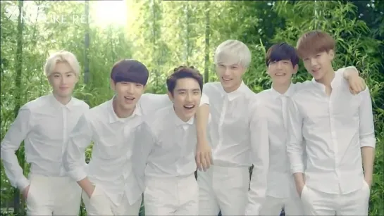 [РУСС.САБ] 140710 EXO-K Nature Republic CF - Nose Pack