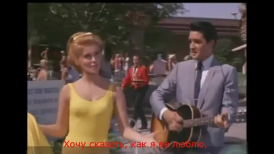 Elvis Presley "The Girl Of My Best Friend"