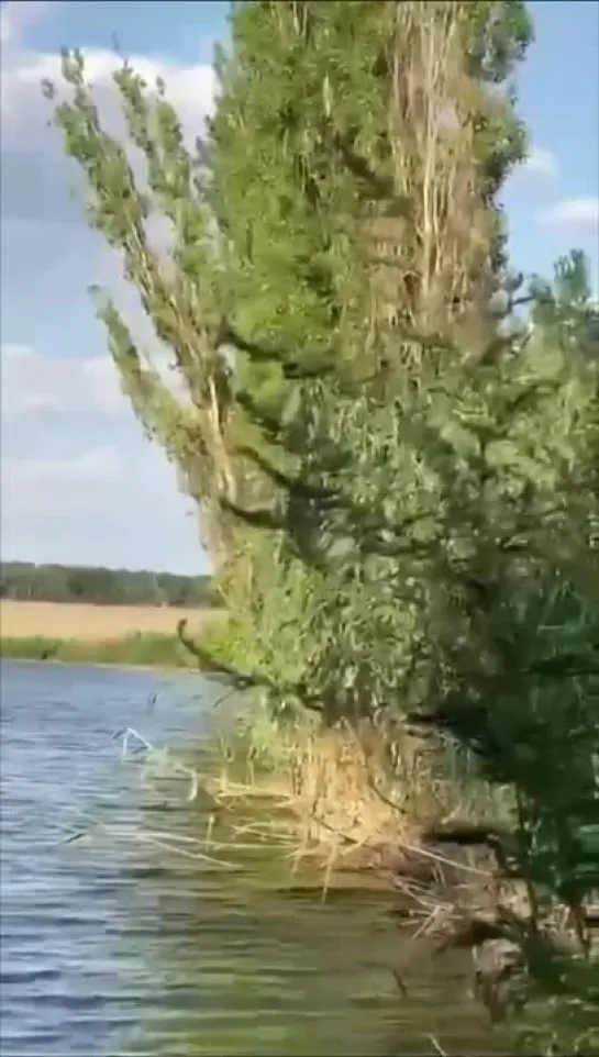 Садитесь ржать,пожалуйста!