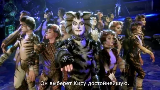 "The Invitation To The Jellicle Ball" from "Cats"