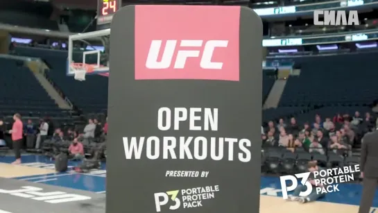 UFC 230  Open Workout Recap