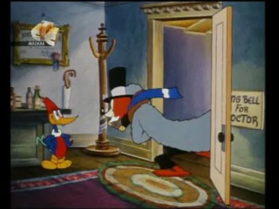 Вуди Вудпекер - Woody Woodpecker серия 1