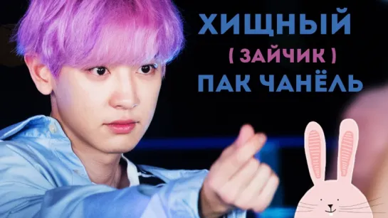 ХИЩНЫЙ (ЗАЙЧИК) ПАК ЧАНЁЛЬ! | CHANYEOL EXO | K-POP ARI RANG