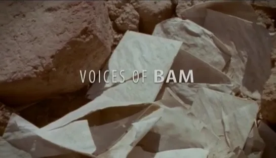 Voices of Bam / Stemmen van Bam (2006) dir.  Aliona van der Horst, Maasja Ooms