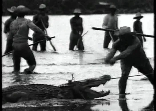 Moeder Dao, de schildpadgelijkende (Netherlands, 1995) dir. Vincent Monnikendam