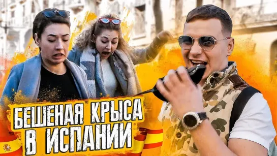 vJOBivay БЕШЕНАЯ КРЫСА В ИСПАНИИ _ Barselona Rat Prank _ Реакция испанцев на русского пранкера