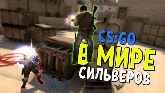 Dmitriy Landstop В МИРЕ СИЛЬВЕРОВ #28   CS GO