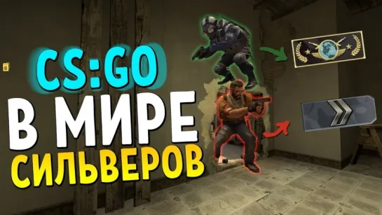 Dmitriy Landstop В МИРЕ СИЛЬВЕРОВ #26   CS GO