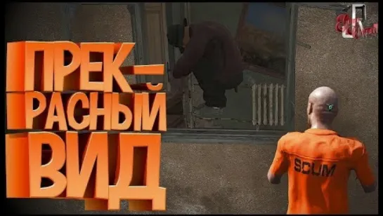 JOHAN Прекрасный вид ( SCUM / PUBG / CS GO )