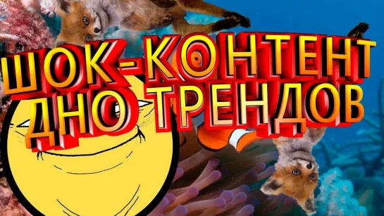 DuckChannel ШОК КОНТЕНТ - ДНО ТРЕНДОВ.ОТ ЧТЕНИЯ МЕМЕСОВ К ПОЛНОМУ ВЫНОСУ МОЗГА