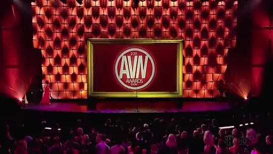 2011 AVN Awards Show / Церемония вручения наград AVN 2011(2CD)