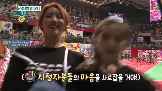 190815 "Section TV: Entertainment NEWS" (ISAC behind story) preview