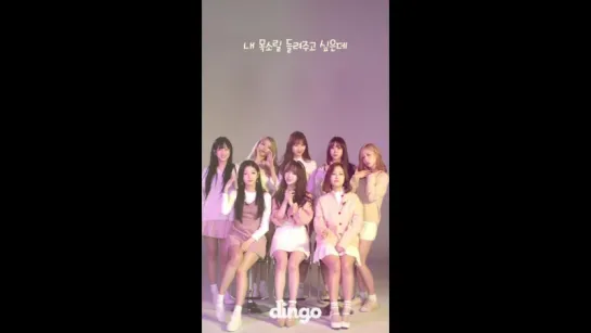 [LIVE] Lovelyz - WOW @ Dingo Music