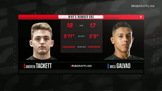 Micael Galvao vs Andrew Tackett #wno