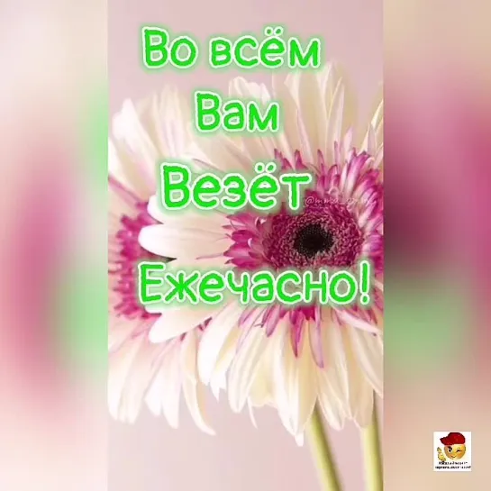 Счастливого дня✨✨✨