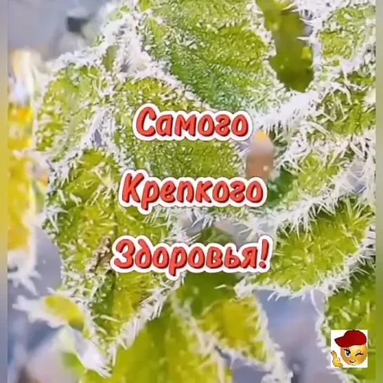 Добра и тепла тебе🥰