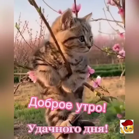 Доброе утро🥰