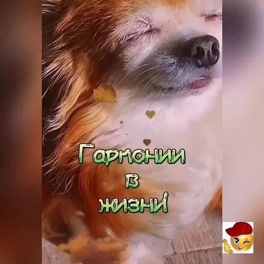 Всех благ тебе🤩