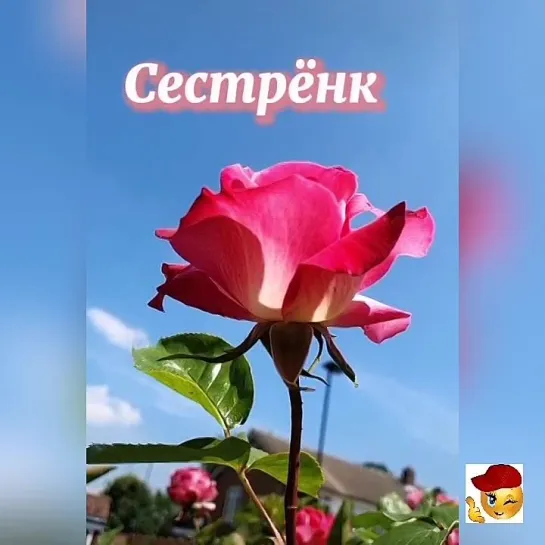 Моей сестрёнке🤩