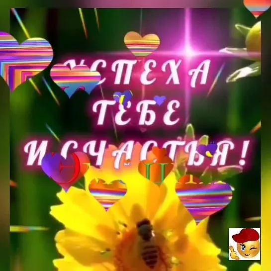 Хорошего дня✨✨✨