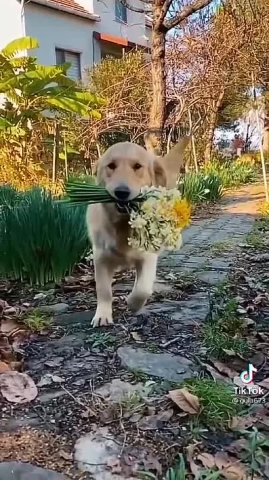 С наилучшими пожеланиями🤩