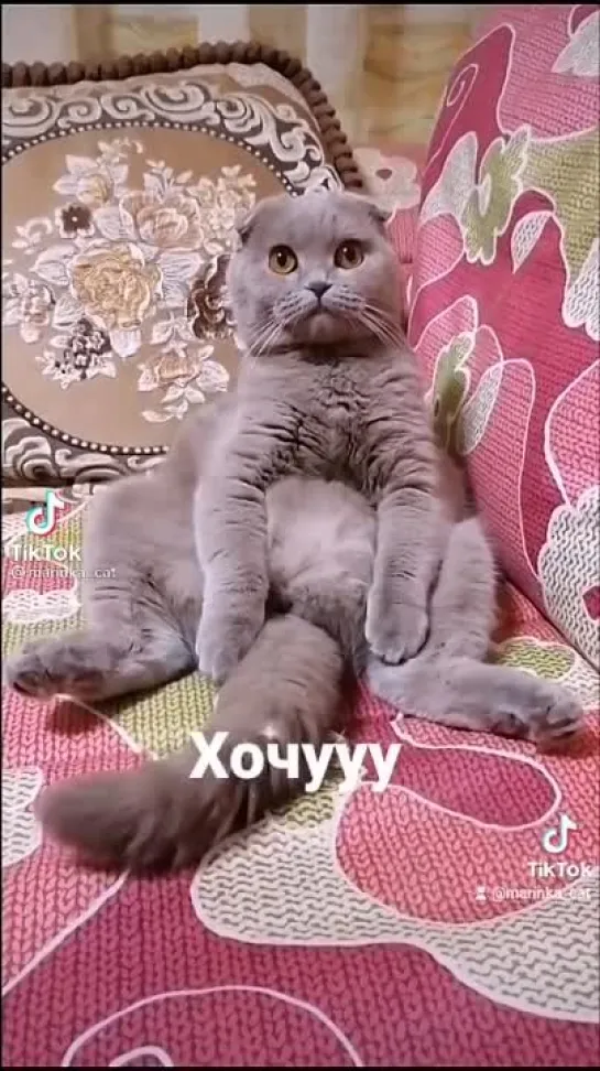 Блинов хочу😻