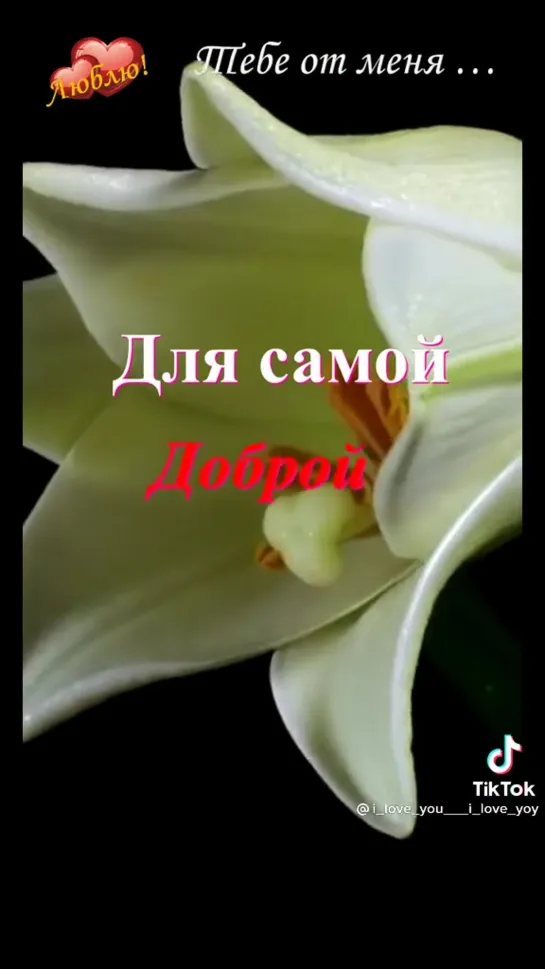 Для самой, самой🌹